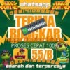 Agen Resmi Terpercaya untuk Semua Jenis Produk