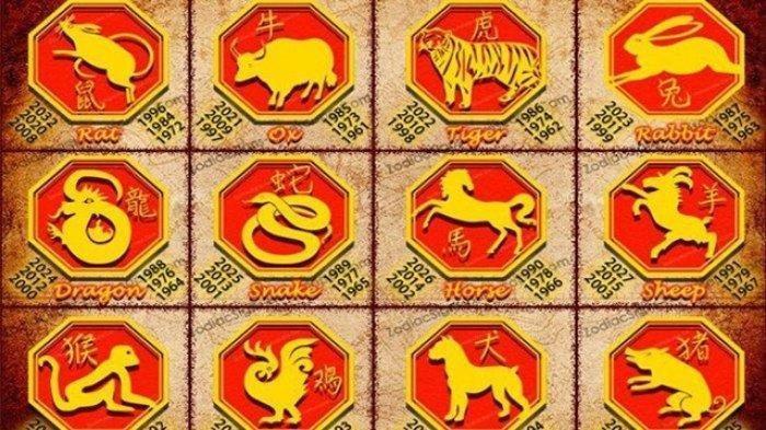 Daftar Hoki Bagus: Peruntungan Anda Terbaik!